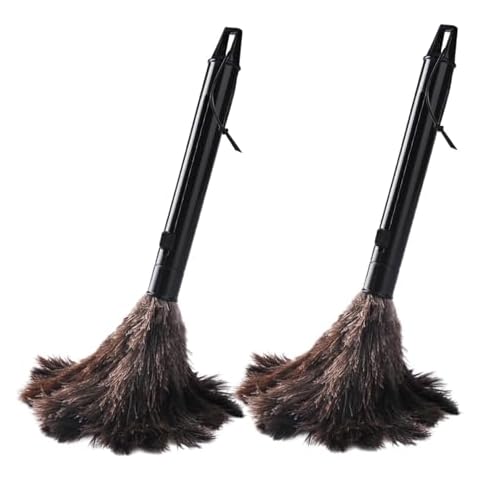 BAOYAO 2pcs Feather Duster Set Cover