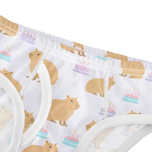 Capybara Birthday Cake Pattern Boys' Underwear 100% Cotton Boys' Briefs Soft Toddler Underwear4