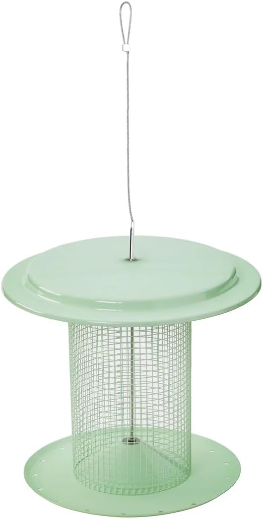 Birds Choice Modern Farmhouse Sunflower Seed Bird Feeder, Sage Green - Includes Paracord Hanger, 3 lbs. Seed Capacity