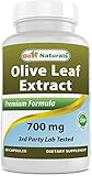 Best Naturals Olive Leaf Extract, 700 Mg, 90 Count