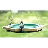 Songbird Essentials SE504 Green Mini Hanging Bird Bath (Set of 1)
