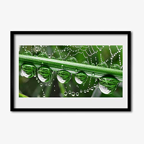 Affiche encadrée 60x40 cm spiderweb plante pour sublimer la décoration de votre salon