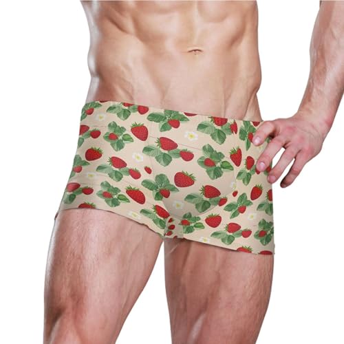 Strawberry Fruit Flowers Mens Swim Trunk Swimwear Bathing Suit Swim Brief Square Leg Board Short S B04051573