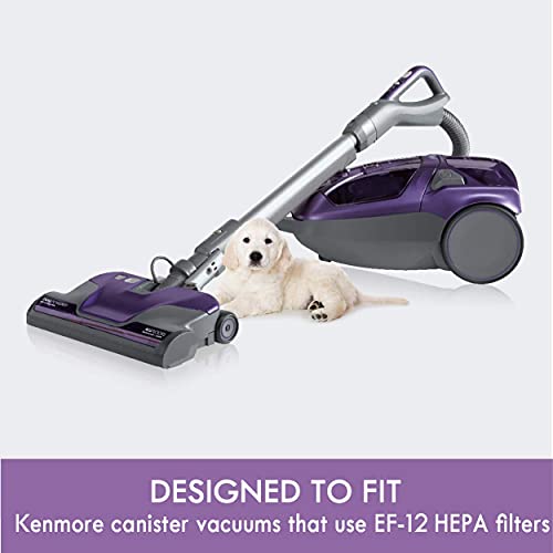 Image of Kenmore 62731 HEPA Media Vacuum Cleaner Exhaust Air Filter for Canister Vacuum 81615