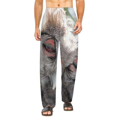 Pantalon de détente Chouette : votre allié pour cocooner le dimanche