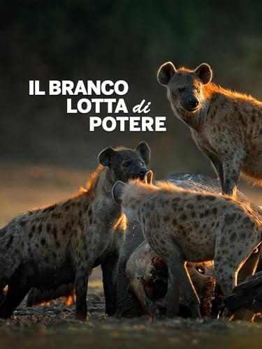  Il branco: lotta di potere