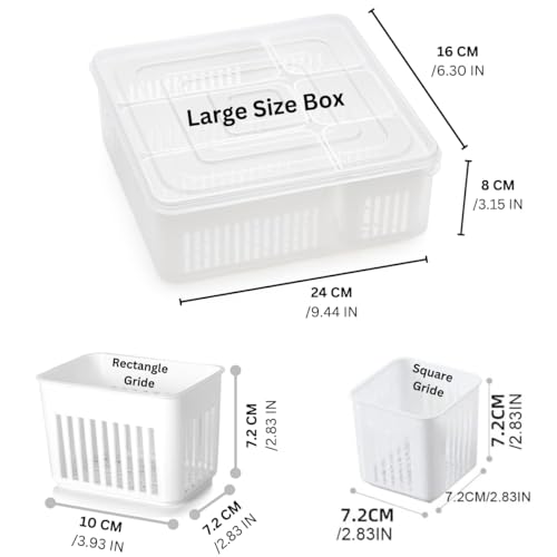 Image of TASMAX Fridge Storage Boxes, Plastic Fridge Containers, Fridge Accessories Items, (FRIDGE CONTAINER LARGE BOX-9 GRID)