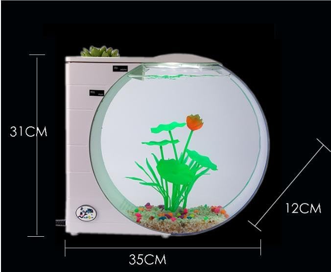 Amazon | COMEDYKINGクラゲ専用水族館、クラゲ水槽、卓上生態