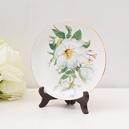 Gatuida Exibição De Suporte De Arte Suporte De Exibição De Ornamento Moldura Acrílica Suportes Para