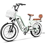 2 Seater Electric Bike, 1300W Peak (750W) Motor Ebike, 48V 20AH Removable Battery, 20'x 4.0' Fat Tire Electric Bike, Commuter Electric Bicycle for Adults, Front Fork Suspension,Classic, Green