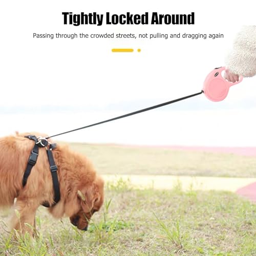 Ausziehbare Leine für Hunde,Rollleine Hundeleine 5m,Leine Hundeleine Einziehbar,Hundeleine für Hunde,Hundeleine Ausziehbar mit Griff,Dog Leash,Verhedderungsfreie Ausziehbare Hundeleine (Rosa)