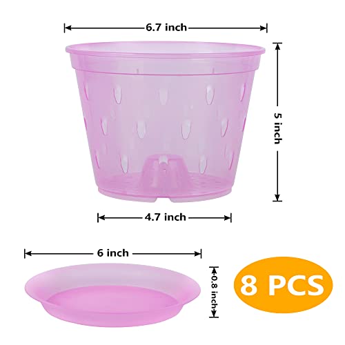 Orchid Pot, 6.7 Inch 8 Pack Orchid Pots with Holes and Saucers,Plastic Orchid Planter - Rose Quartz