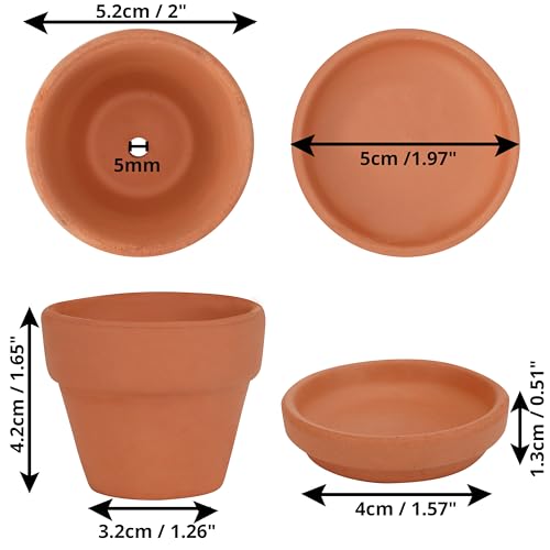 Belle Vous 16 Pack of Unfinished Terracotta Plant Pots & Saucers, 5cm/2 Inches - Image 2