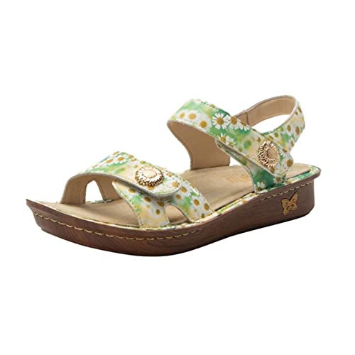 Alegria Womens Vienna Coming Up Daisies Leather Sandal 9 M Us #TOP23