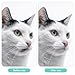 4pcs Cat Acne Brush Set, 2 Styles Double-Sided Scraper Silicone Soft Cat Brush Dual Sided Black Seed Exfoliating Cleaning Brushes for Pet Chin Acne and Blackhead