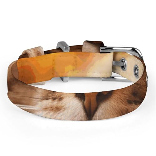 Collier réglable pour petit chien et chat idéal pour la promenade - 5
