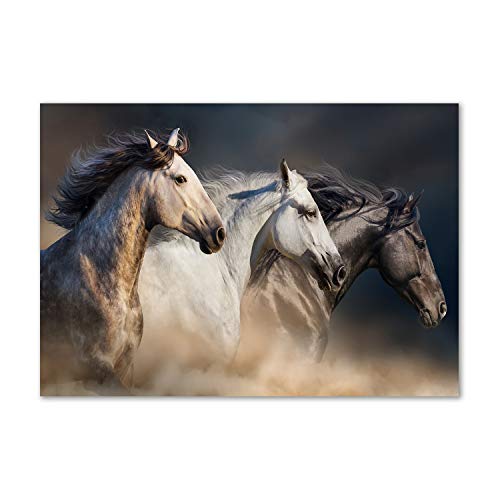 Image sur verre de chevaux au galop brun pour créer une ambiance naturelle dans votre cuisine