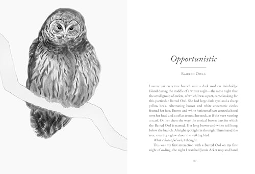 Image of The Hidden Lives of Owls: The Science and Spirit of Nature's Most Elusive Birds