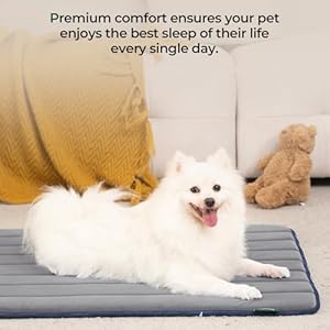  BALANCE-Dog-Crate-Pad-Dog-Foam-Crate-Mat-Kennel-Pad-Washable-Water-Resistant-Pet-Bed-Flat-Dog-Cage-Mat-for-Small-Dogs
