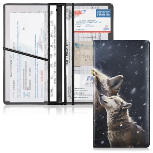 Organizador de Documentos para Auto Piel
