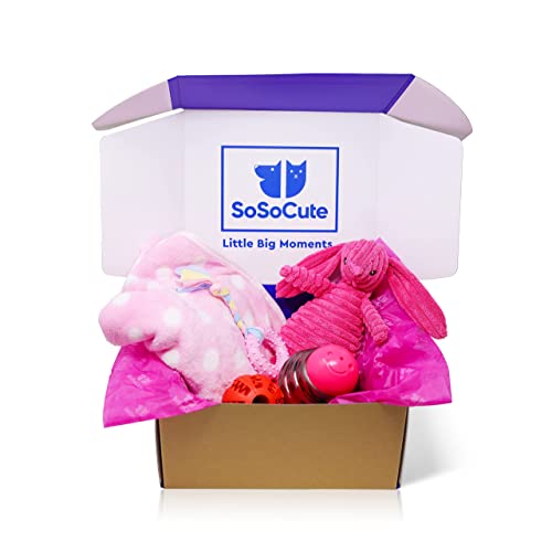 SoSoCute Pinke Hunde-Geschenkbox – Kauspielzeug für Welpen, Set mit 5 Stück – Welpenpflege-Paket mit Hundedecke, Gummi-Beißring, Ball zum Beißen und Leckerli-Ball für kleine und mittelgroße Hunde
