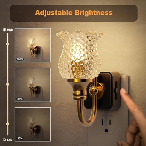 Image of JandCase Night Light, Glass Night Lights Plug into Wall Dimmable | Floral LED Nightlight, 0-100LM Flower Nightlights, Dusk to Dawn Sensor, 1W Vintage Nite Light for Bathroom Hallway Gift Decor