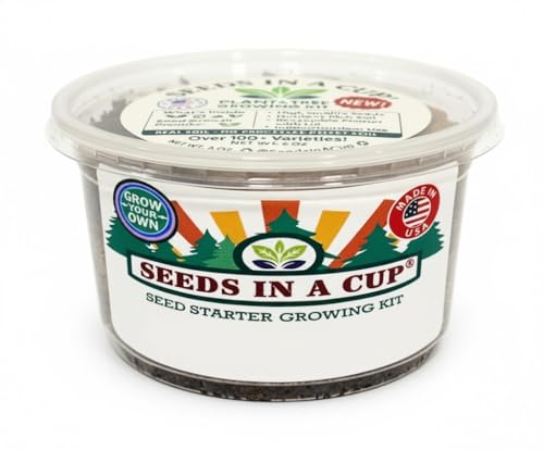 Seeds In A Cup&reg; Olive Tree Grow Kit &ndash; Easy Seed Starter for Indoor & Outdoor Planting | Grow Real...