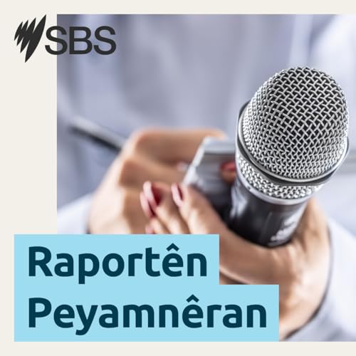 &Ccedil;alakvanek&icirc; Kurd li Tirkiy&ecirc; d&icirc;sa hat girtin &ucirc; b&ucirc; armanca dozgeran