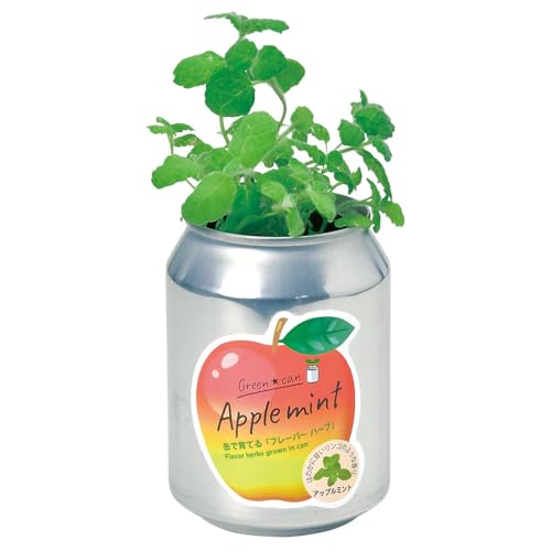 ＩＴＡＮＳＥ 栽培セット グリーンカン アップルミント 1個売り 【品種で選べる栽培キット】室内育成可能！かわいいカン型ポット付。これひとつで栽培可能。お気軽家庭菜園。爽やかなハーブの香りを卓上で。