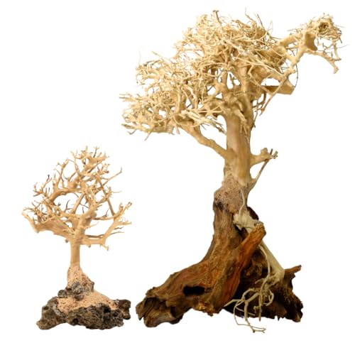 Awawood 2-Pack Bonsai Driftwood Aquarium Trees on Rock 1BF (11' Height) 1BSS(5' Height) – Handcrafted Natural Fish Tank Decoration | Balances Water pH, Stabilizes Environment | Easy to Install
