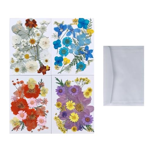 Set de flores secas prensadas naturales para manualidades miniatura 1
