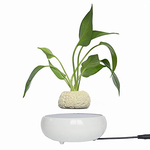 Maceta De Bonsai De Aire De LevitacióN MagnéTica, DecoracióN De Esc