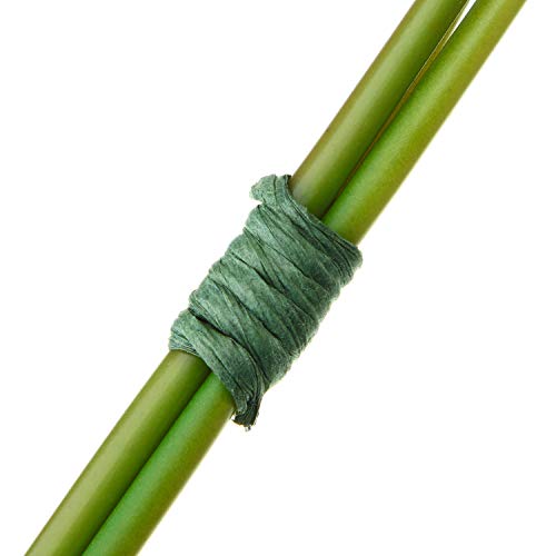 image for Syhood 65 Feet Floral Wire Vine Wire Bind Wire Rustic Craft Wire Wrapp