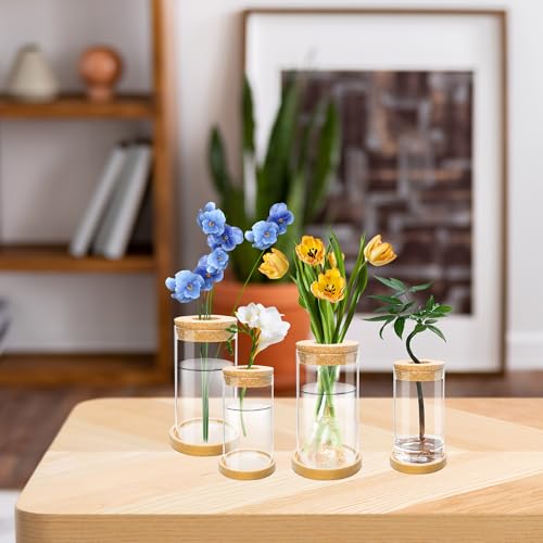 8 Pcs Plant Terrarium Desktop Glass Planter Plant Propagation Tabletop Propagation Vase Containers with Cork and Wooden Saucer for Growing Hydroponic Plants Garden Home Office Decor- - Image 3