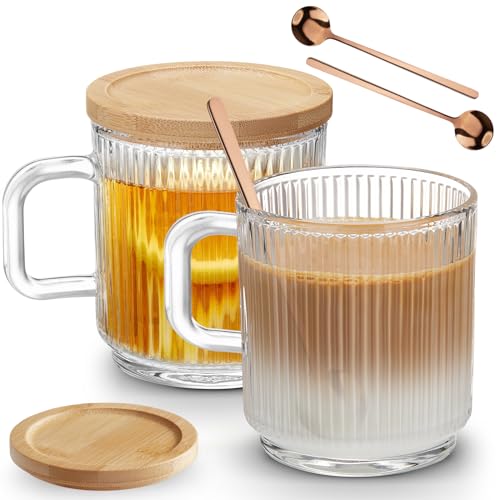 Top 10 Best Glass Mugs For Tea Reviews & Buying Guide Katynel