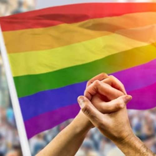 La Gu&iacute;a del Delf&iacute;n Temporada 01 Episodio 14. Movimiento LGBTQ+