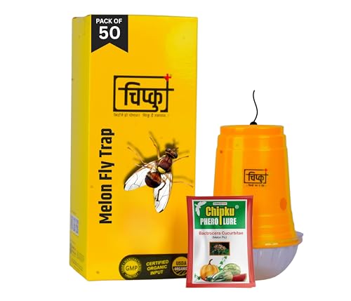 Image of Chipku Melon Fly Glass Trap & Lure Pack of 50 Traps for Garden & Agriculture to Control Bactocera Cucurbit|Melonfly for Watermelon,Pumpkin & All Gourd Crop Pheromone Trap for Guaranteed Results