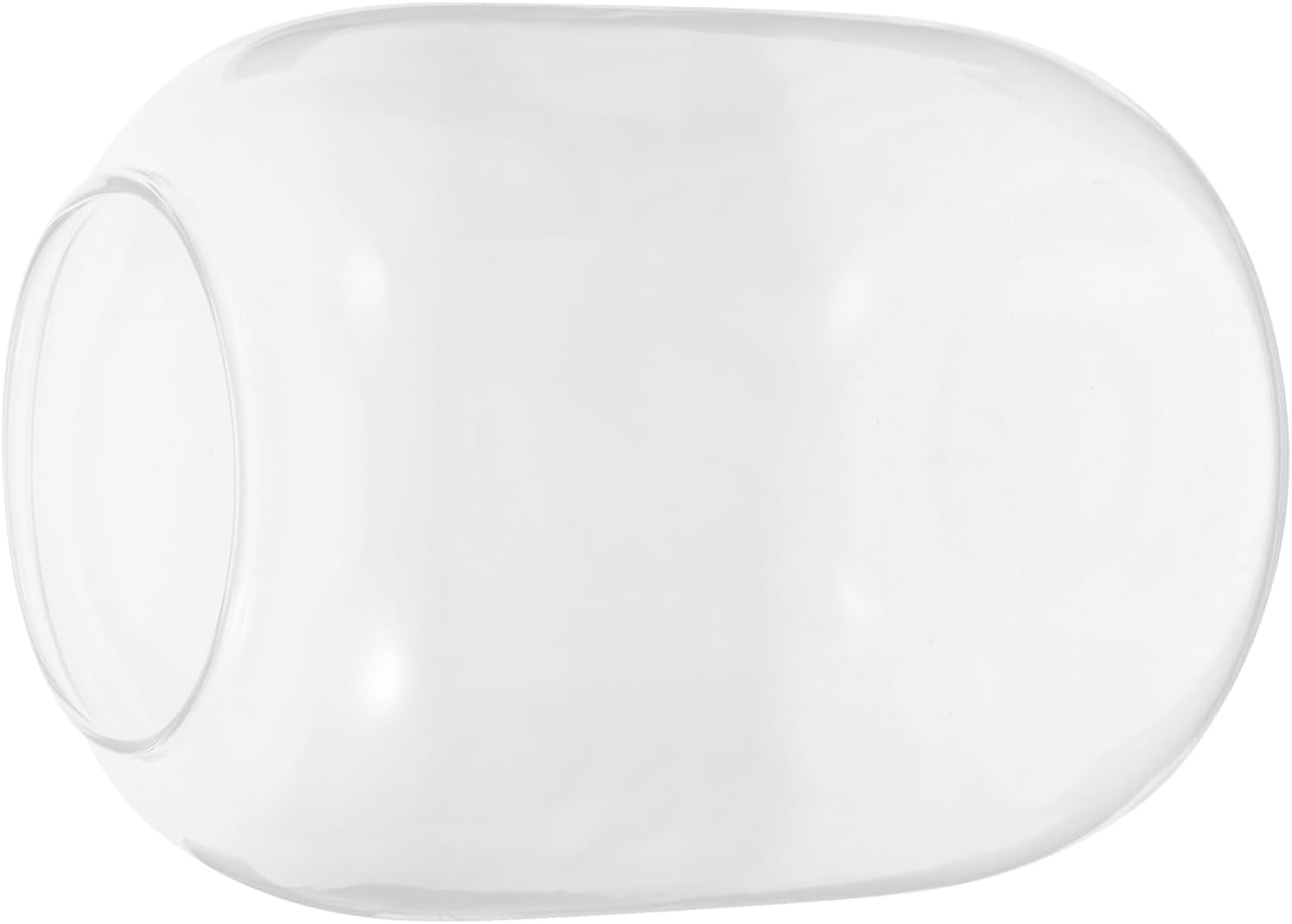 Balacoo Large Clear Glass Vase for Plants Versatile Hydroponic Container Decorative Round Glass Bottle for Indoor and Office Decor for Microlandscapes and Fish Tank Use