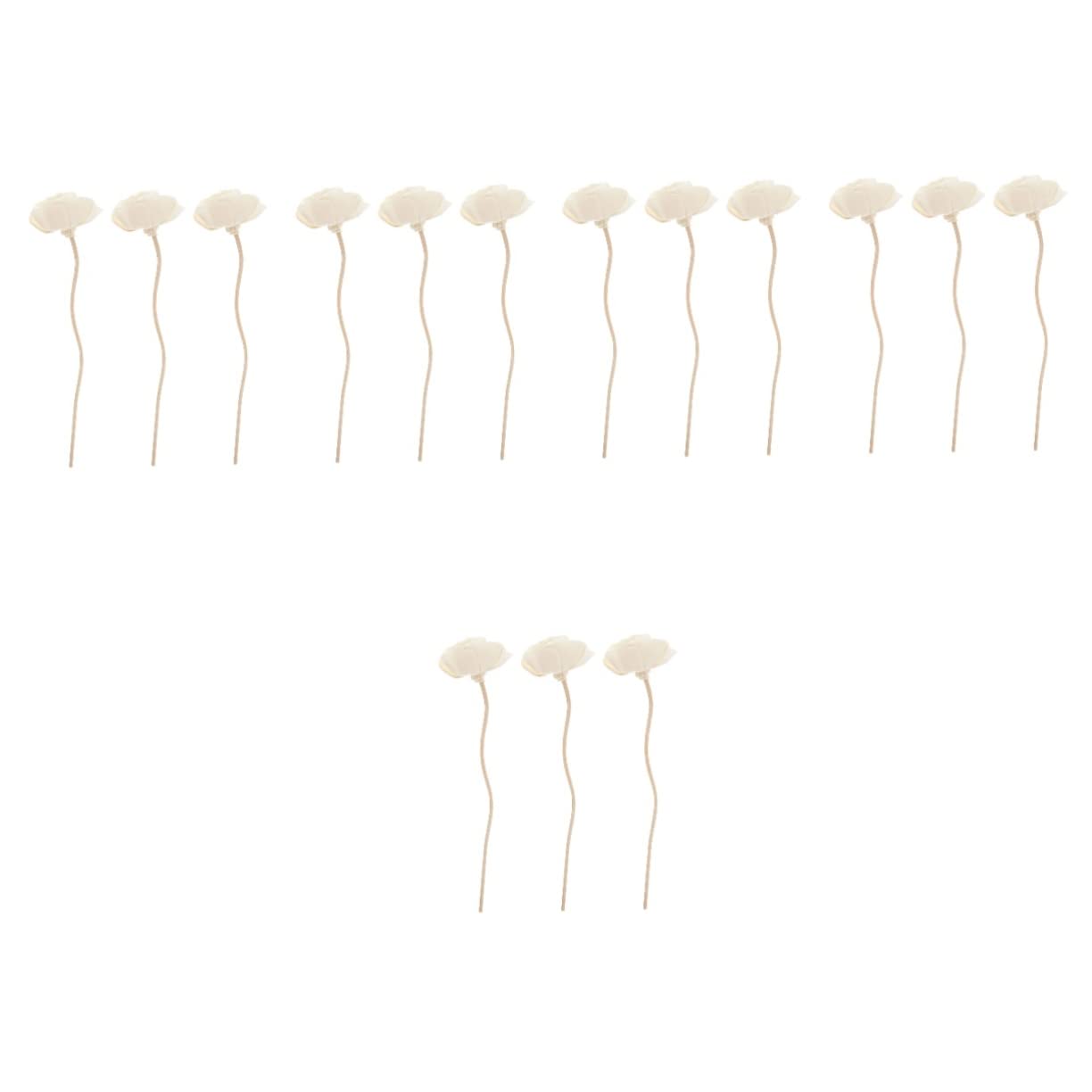 DECHOUS 5sets Essential Oil Diffuser Aroma Stick Diffuser Sticks Dried Flower Aromatherapy for Home and Car Decor 3pcs*5