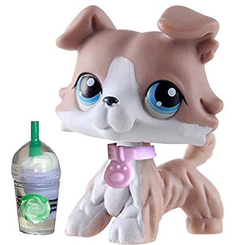 QY lps Collie #67 Gray and White Dog with Blue Eyes lps Figures with lps Accessories Collar and Drinks Kids Collectable Gift