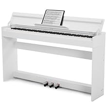 Expansive Sound Library - Elevate your playing with 800 tones, 600 rhythms, and 80 demo songs on this 88 keys piano keyboard. It has 88 semi-weighted keys and a three-pedal system (sustain, soft, and sostenuto), that mimics the touch and response of ...