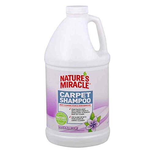 Can You Use Laundry Detergent In A Carpet Cleaner? Here's The Answer