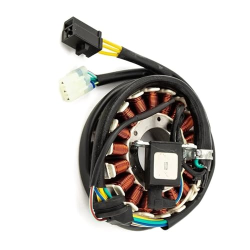 Bobine de stator pour moto FTR223 pour réparer le système d'allumage 2001