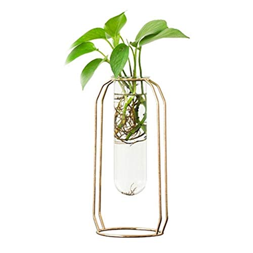 SHANG-JUN Fait à la Main Verre Nordique Cuvette Vase Moderne plaqué Or Fer Vase de Fleurs Vase de Mode Usine Creative Terrarium Chambre Décoration Durable