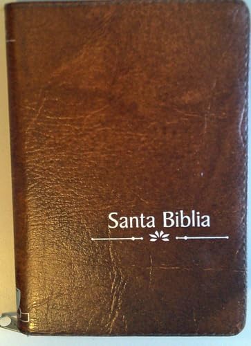 Bible RV 1960 grande lettre : lisez sans fatigue grâce au format portable