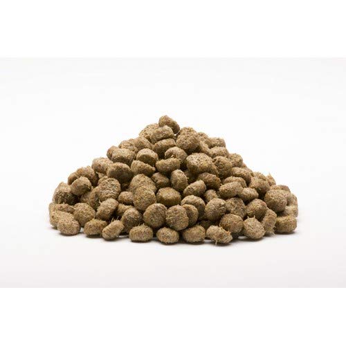 Best Dog Food Delivery Australia