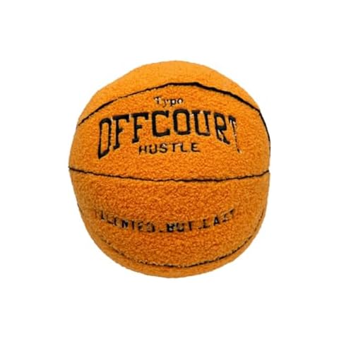 Coussin de Basket-Ball Herfair 25 cm Cover