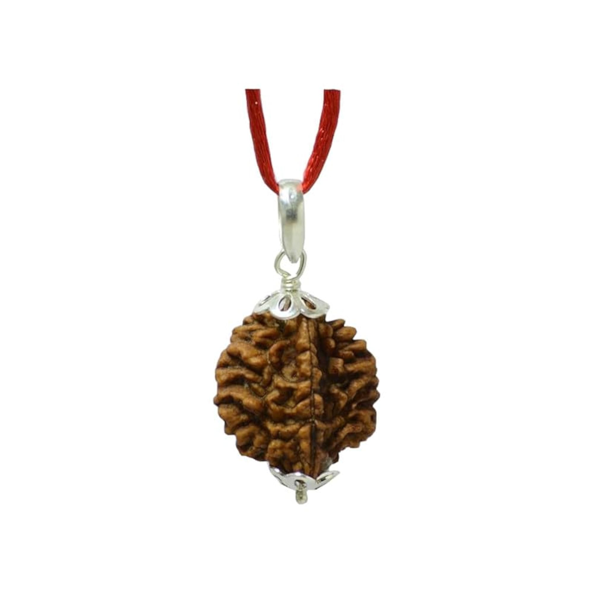 3 Mukhi Rudraksha Nepali Original Certified Holy Beads