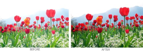 Tronixpro 58Mm Pro Series High Resolution Digital Ultraviolet Uv Protection Filter + Tronixpro Microfiber Cloth #TOP2