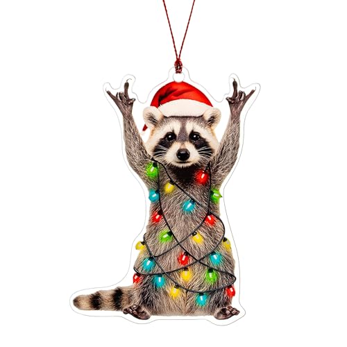 Racoon Christmas Ornament, Christmas Ornaments 2026, Funny Raccoon Gifts for Women Animal...